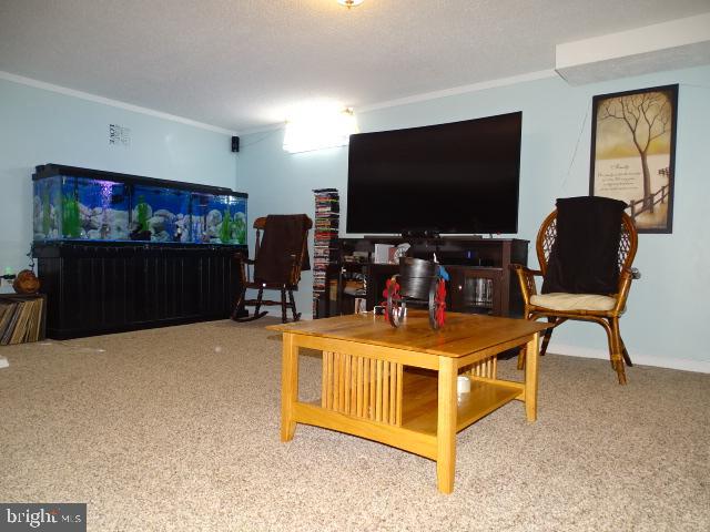 18 Rachael Road Dover, PA 17315 - Photo 19 of 34 Gallery Image 19