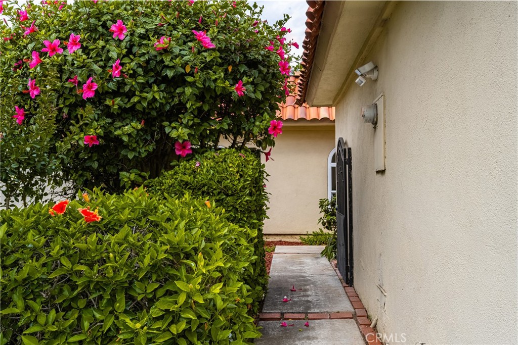 96 Seton Road Irvine, CA 92612 - Photo 3 of 35 a close up of a flower and flowers