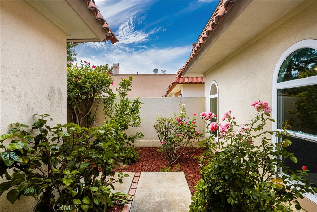 96 Seton Road Irvine, CA 92612 - Photo 6 of 35 a view of a flower in a garden