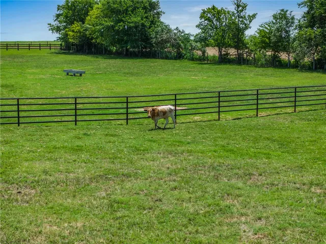 a view of a white and green field