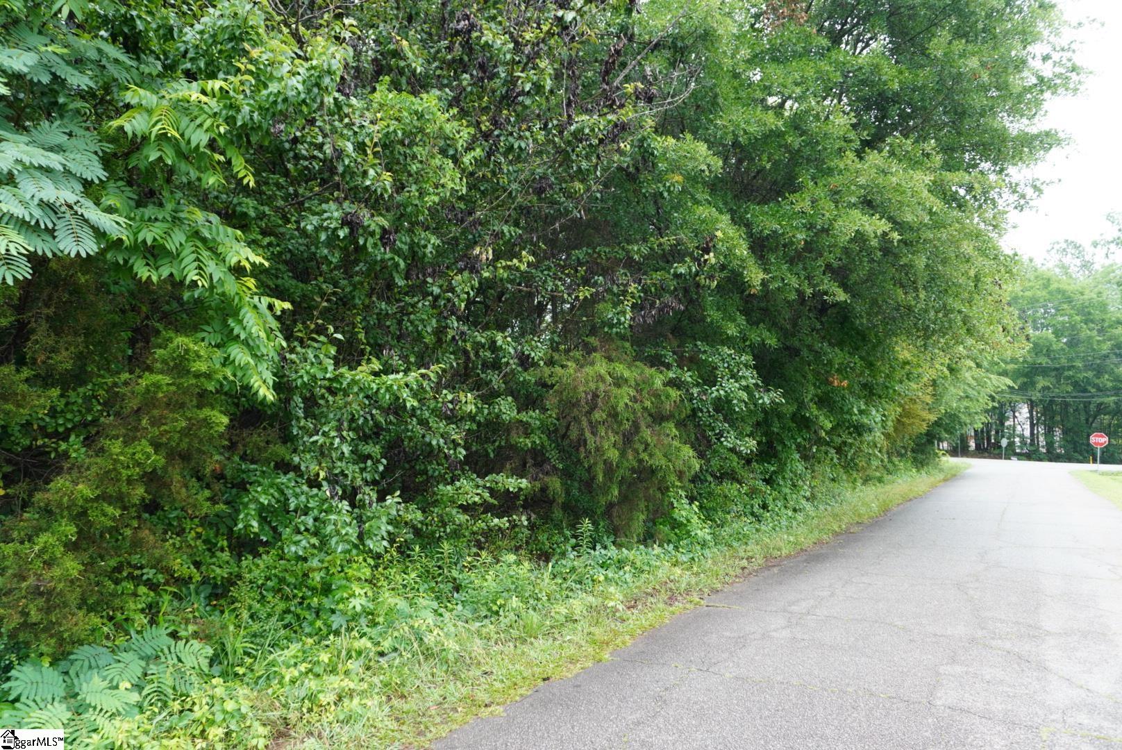 175 Stewart Lake Road Pelzer, SC 29669 - Photo 14 of 18