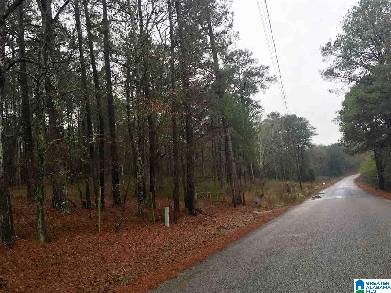1285 Eureka Road, Unit 1 Lincoln, AL 35096 - Photo 4 of 37