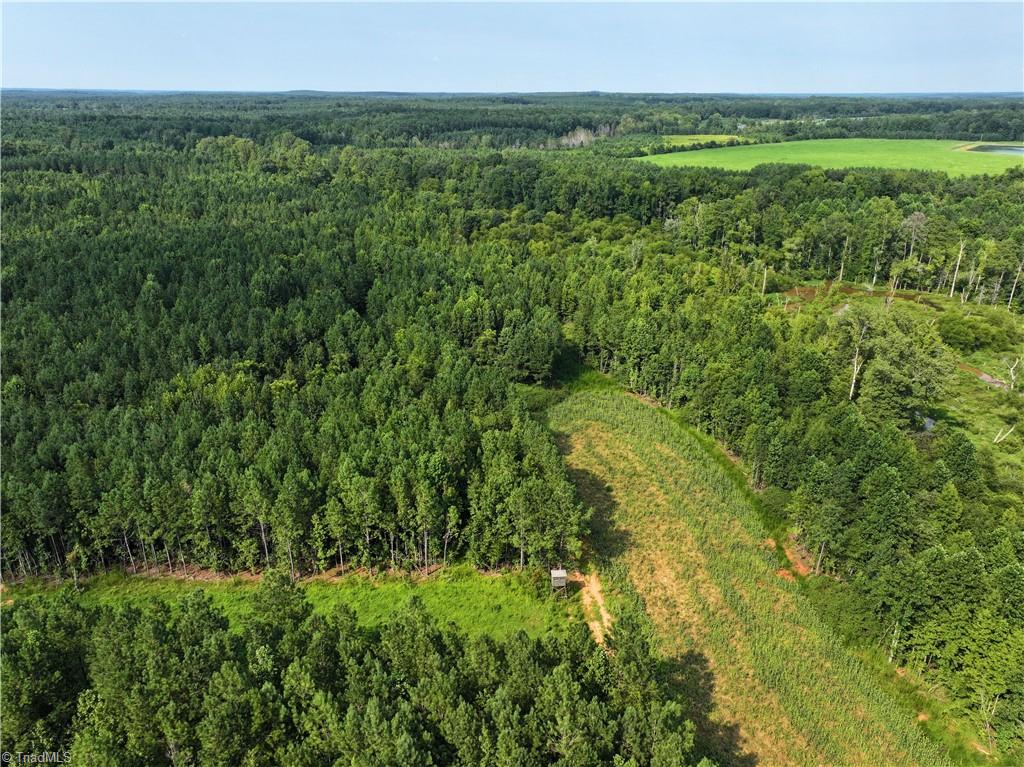 3100 Henry Wilson Road Oxford, NC 27565 - Photo 12 of 50