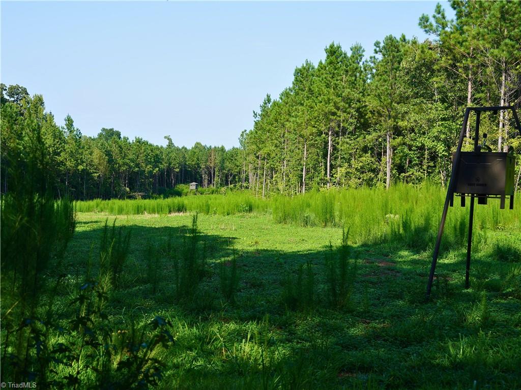 3100 Henry Wilson Road Oxford, NC 27565 - Photo 13 of 50