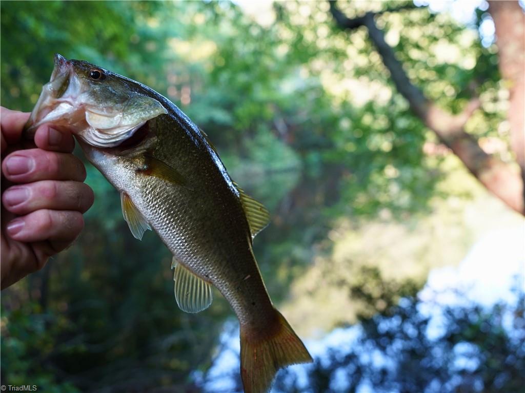 3100 Henry Wilson Road Oxford, NC 27565 - Photo 14 of 50