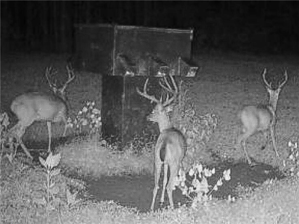 3100 Henry Wilson Road Oxford, NC 27565 - Photo 16 of 50