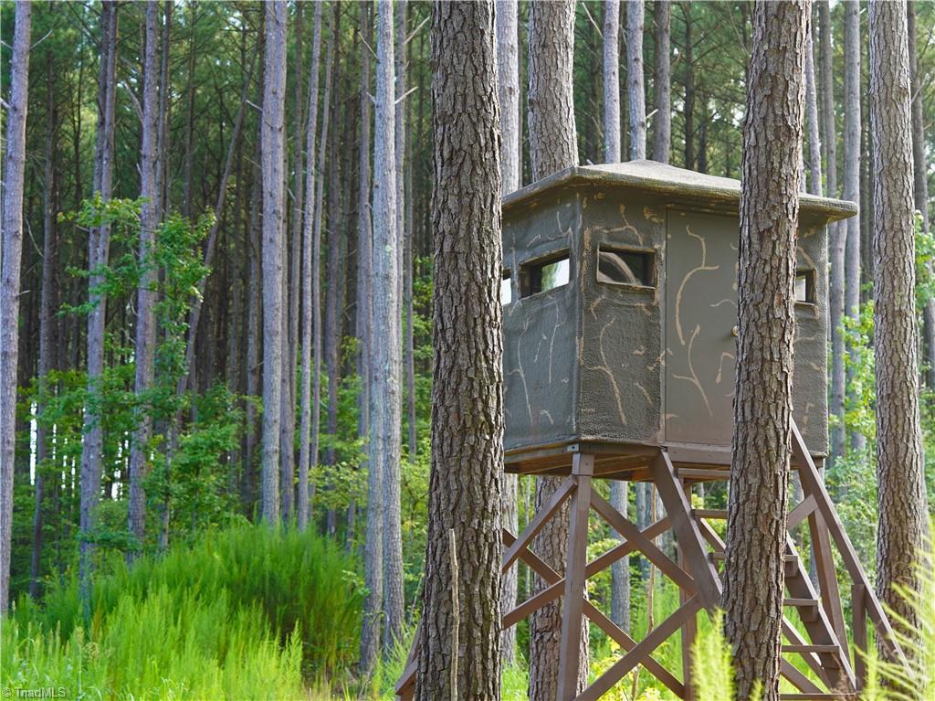 3100 Henry Wilson Road Oxford, NC 27565 - Photo 18 of 50