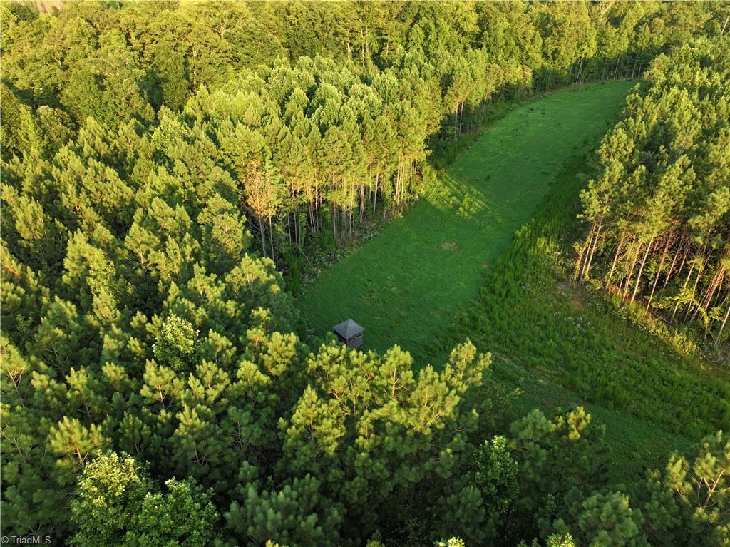 3100 Henry Wilson Road Oxford, NC 27565 - Photo 21 of 50