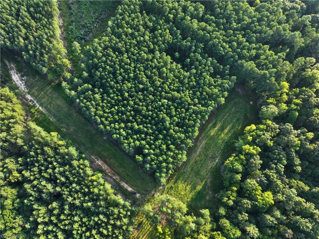 3100 Henry Wilson Road Oxford, NC 27565 - Photo 25 of 50