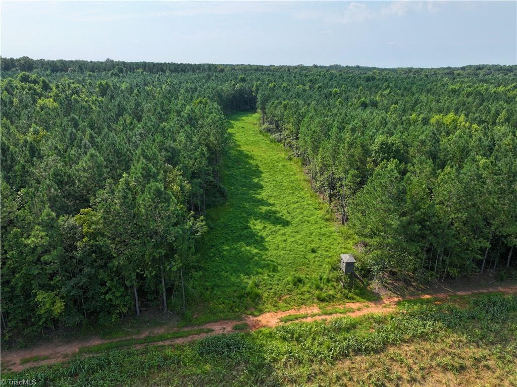 3100 Henry Wilson Road Oxford, NC 27565 - Photo 3 of 50