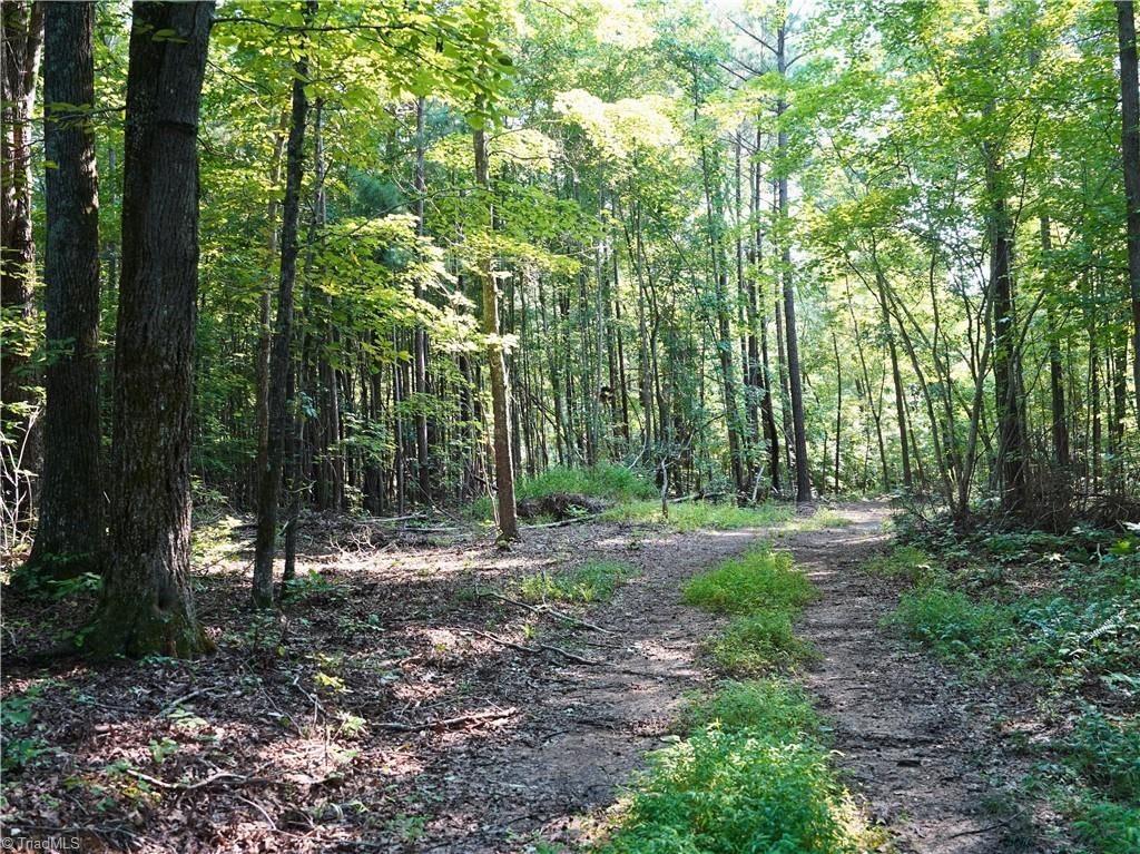 3100 Henry Wilson Road Oxford, NC 27565 - Photo 31 of 50