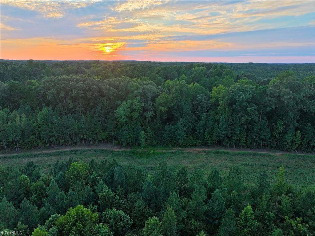 3100 Henry Wilson Road Oxford, NC 27565 - Photo 32 of 50