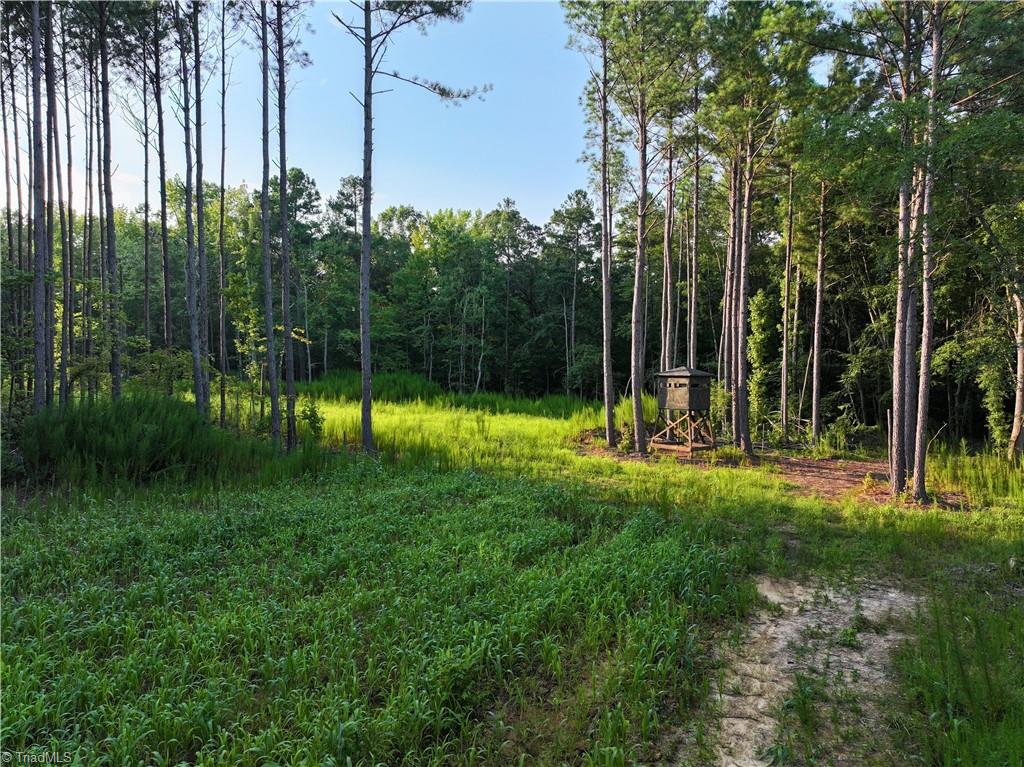 3100 Henry Wilson Road Oxford, NC 27565 - Photo 33 of 50