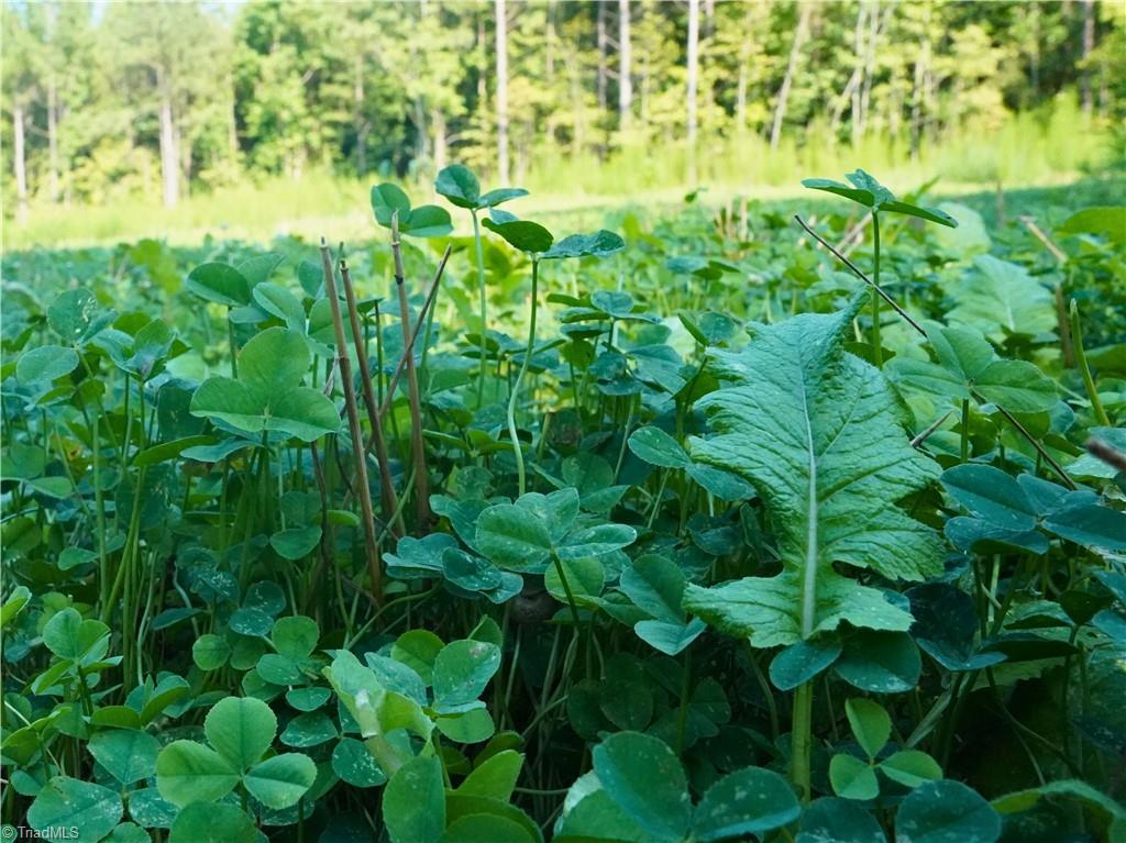 3100 Henry Wilson Road Oxford, NC 27565 - Photo 34 of 50