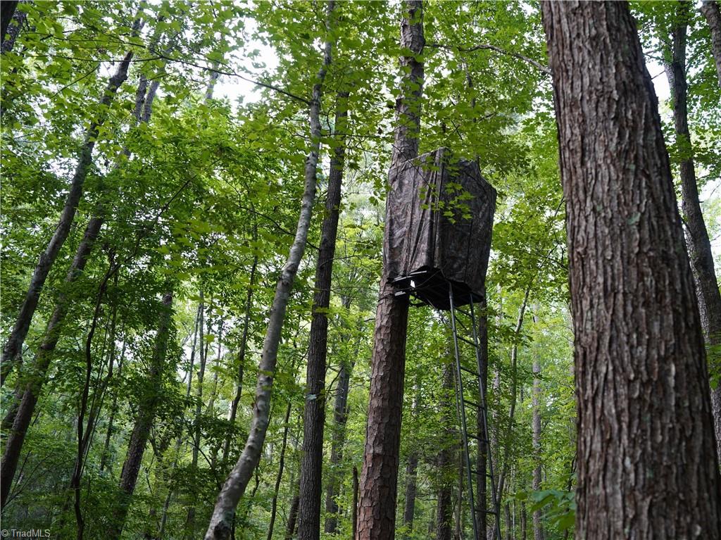 3100 Henry Wilson Road Oxford, NC 27565 - Photo 35 of 50