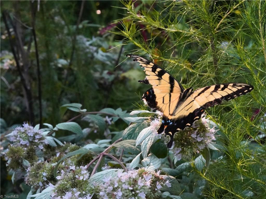 3100 Henry Wilson Road Oxford, NC 27565 - Photo 38 of 50