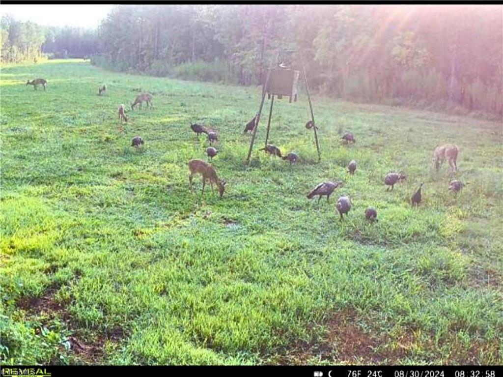 3100 Henry Wilson Road Oxford, NC 27565 - Photo 40 of 50