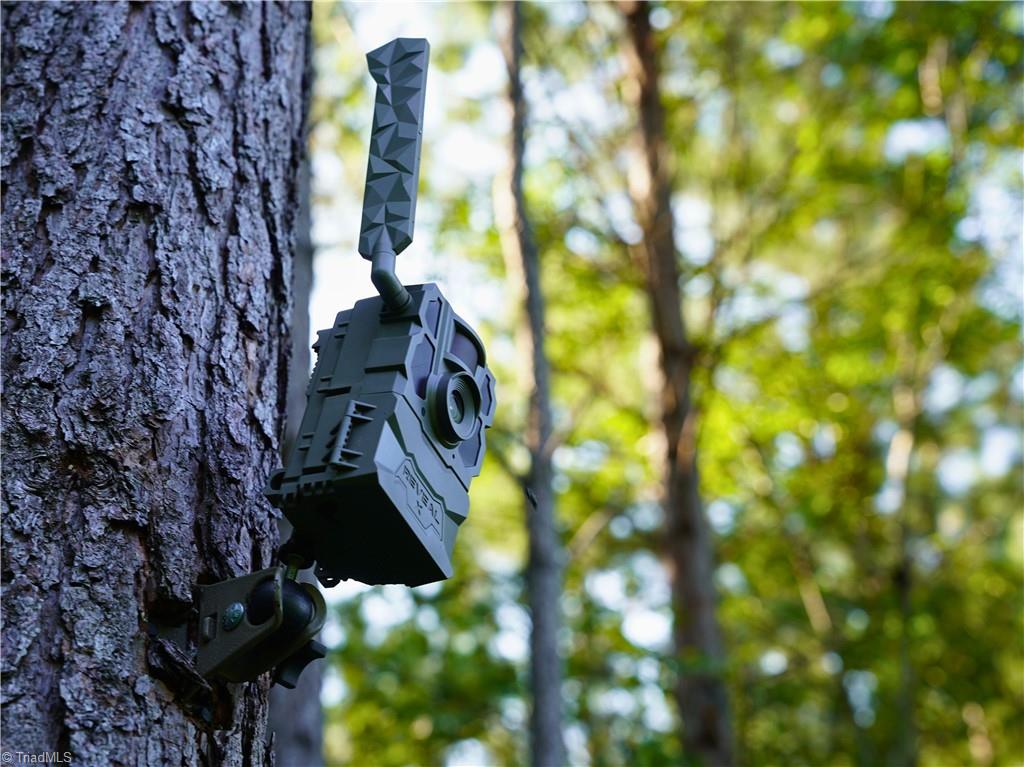 3100 Henry Wilson Road Oxford, NC 27565 - Photo 42 of 50