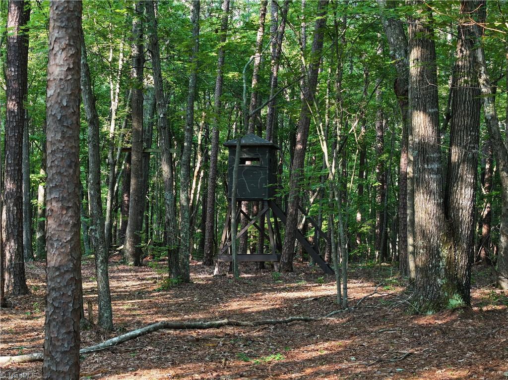 3100 Henry Wilson Road Oxford, NC 27565 - Photo 43 of 50