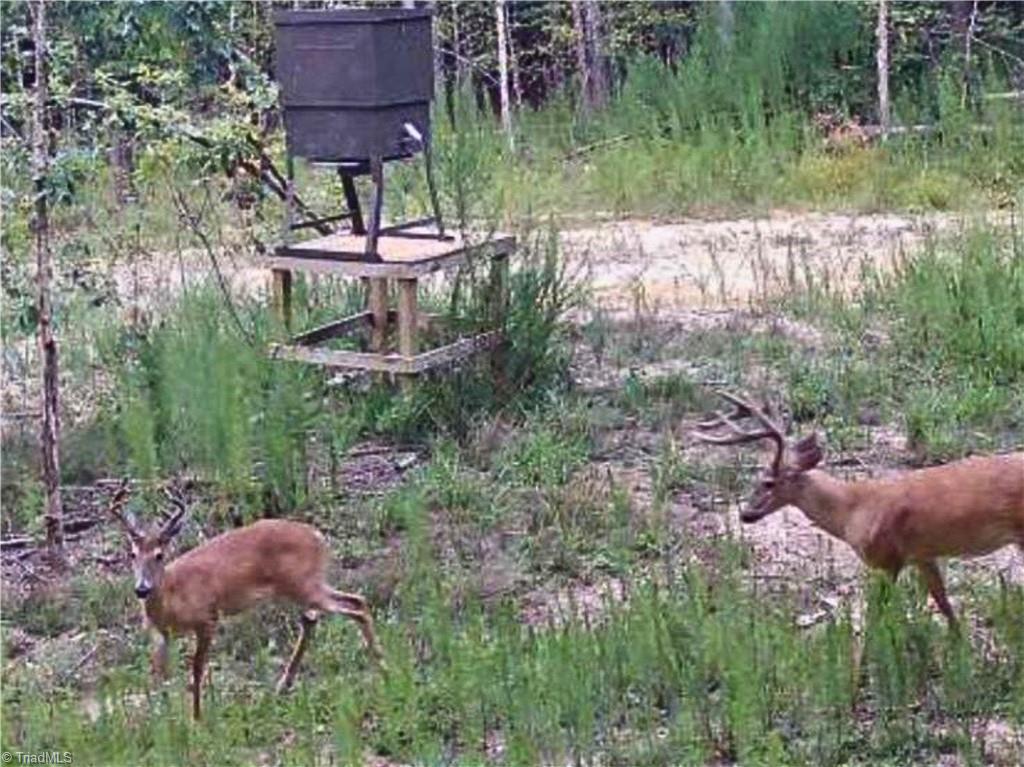 3100 Henry Wilson Road Oxford, NC 27565 - Photo 44 of 50