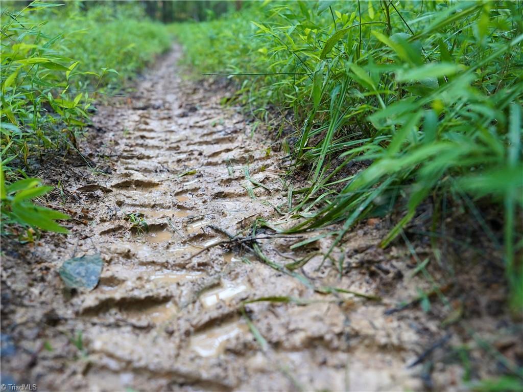 3100 Henry Wilson Road Oxford, NC 27565 - Photo 45 of 50