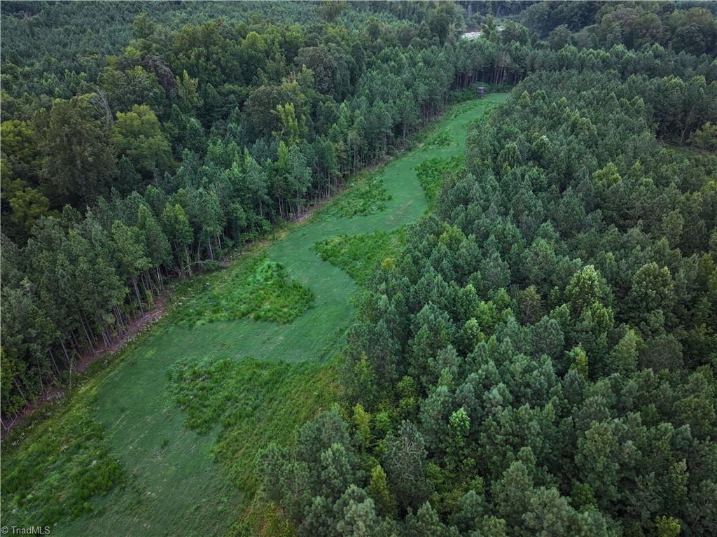 3100 Henry Wilson Road Oxford, NC 27565 - Photo 5 of 50