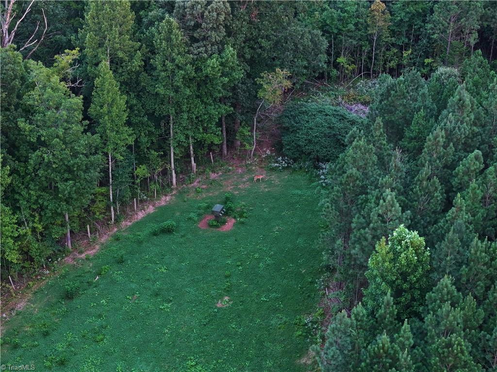 3100 Henry Wilson Road Oxford, NC 27565 - Photo 6 of 50