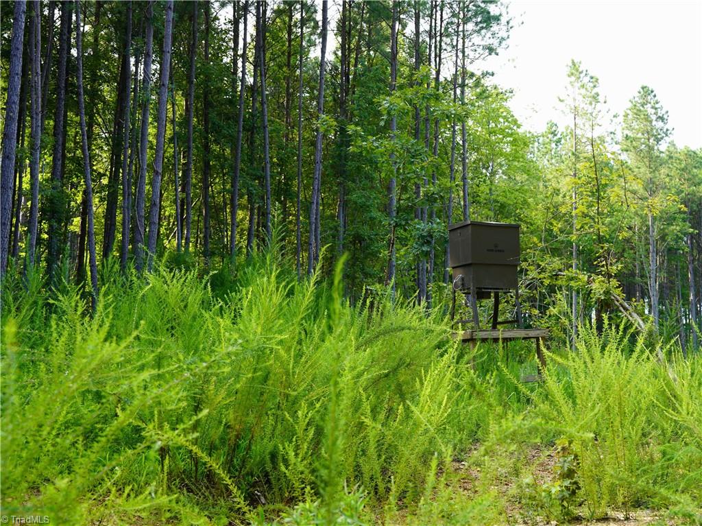 3100 Henry Wilson Road Oxford, NC 27565 - Photo 7 of 50