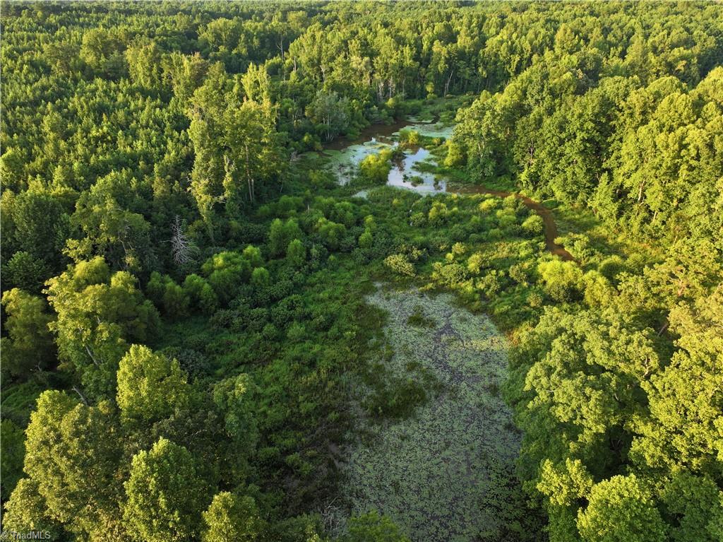 3100 Henry Wilson Road Oxford, NC 27565 - Photo 9 of 50