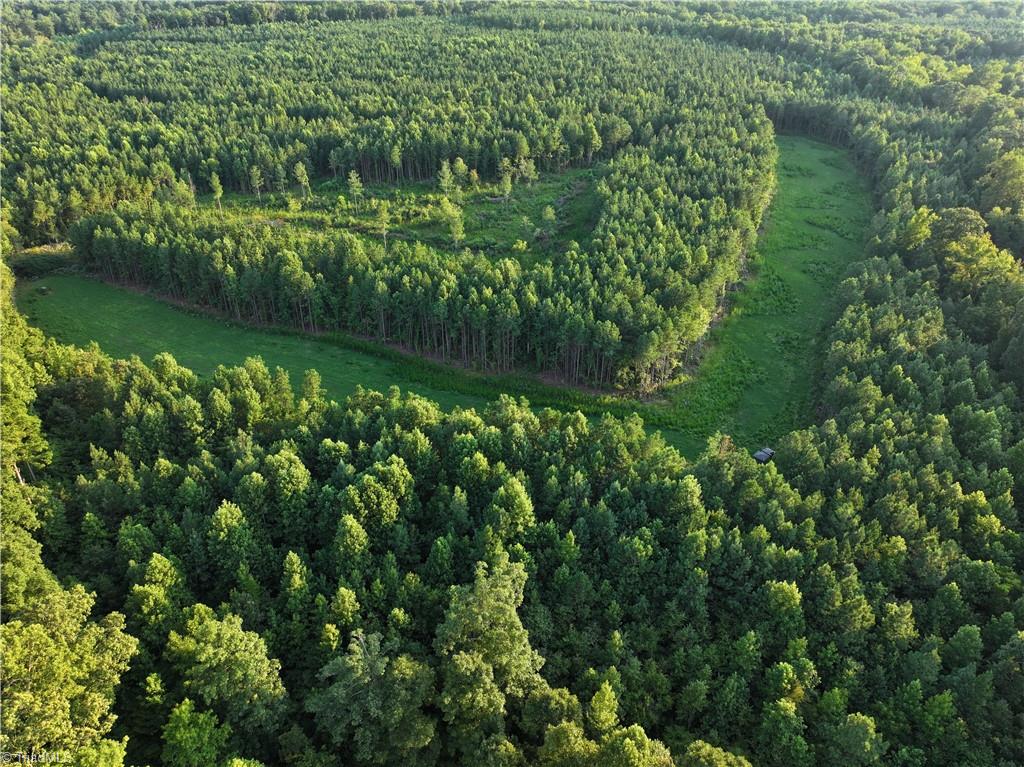 3100 Henry Wilson Road Oxford, NC 27565 - Photo 10 of 50