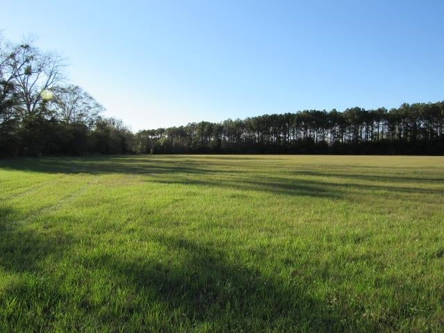 17-acres 17-acres Chance Road Florala, AL 36442 - Photo 1 of 11 Gallery Image 1