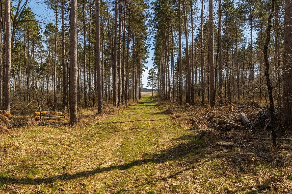 0 Prairie Road East Osseo, WI 54758 - Photo 11 of 79