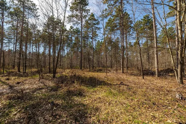 $1,274,900 | 0 Prairie Road East, Osseo, WI 54758