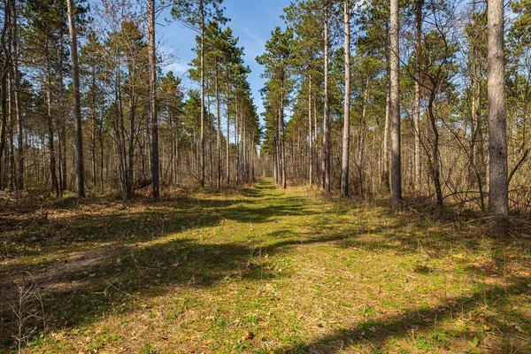 $1,274,900 | 0 Prairie Road East, Osseo, WI 54758