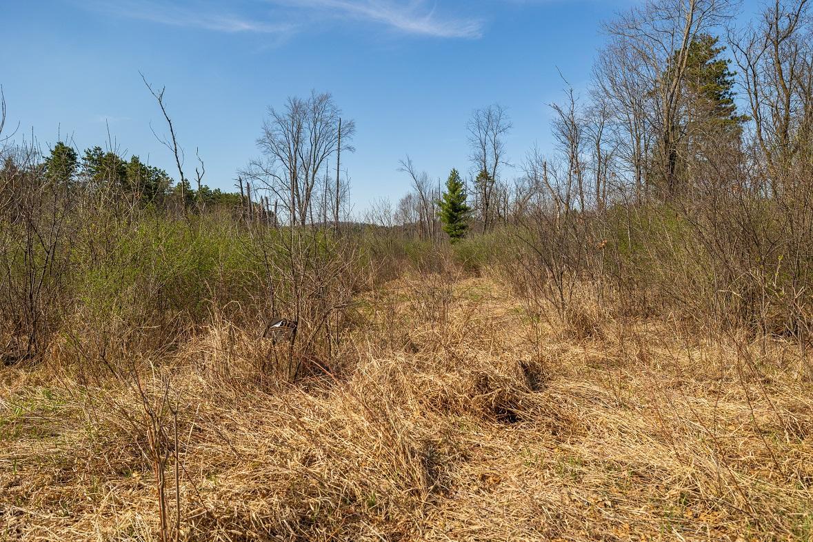 0 Prairie Road East Osseo, WI 54758 - Photo 16 of 79