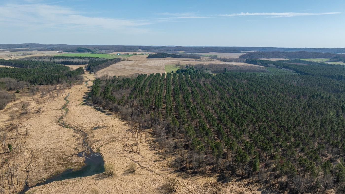 0 Prairie Road East Osseo, WI 54758 - Photo 20 of 79