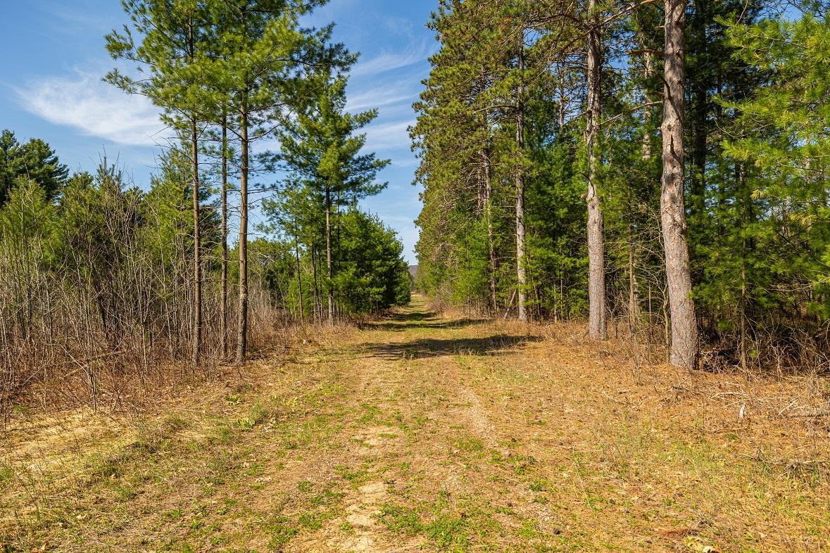 0 Prairie Road East Osseo, WI 54758 - Photo 28 of 79