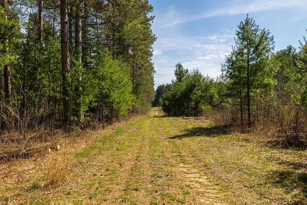 $1,274,900 | 0 Prairie Road East, Osseo, WI 54758