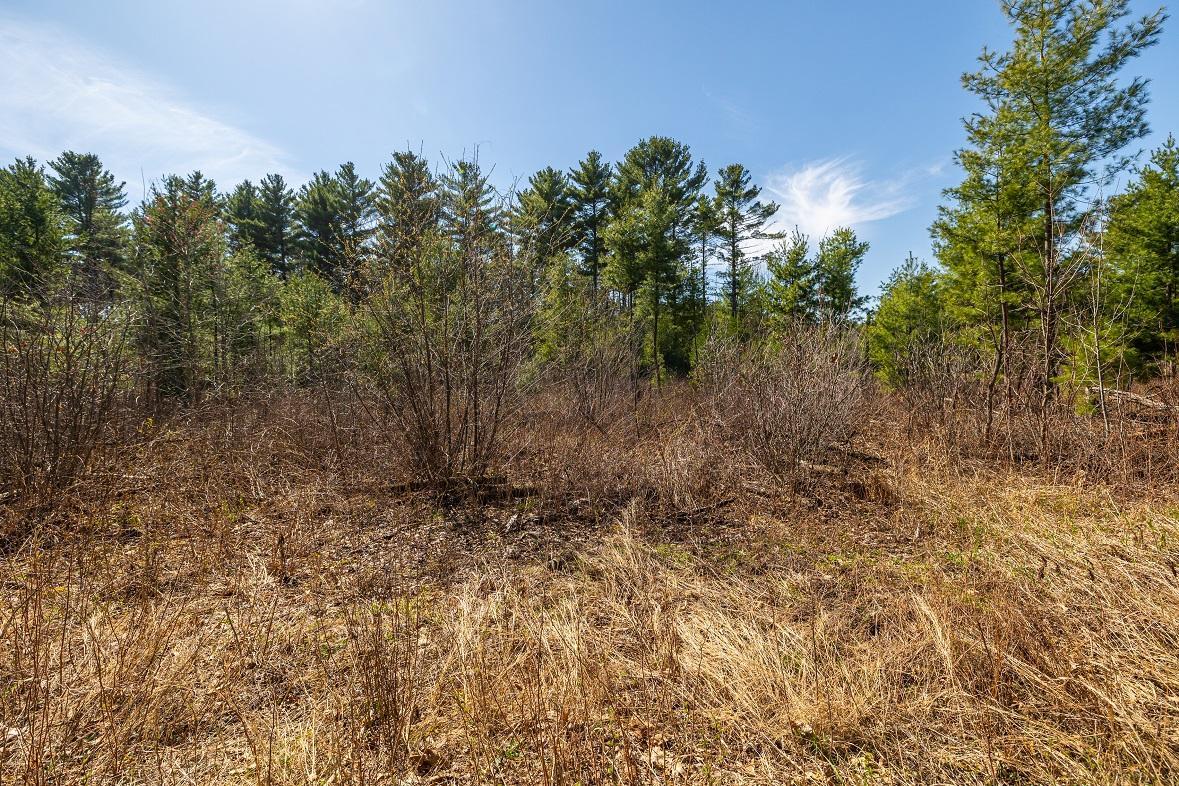 0 Prairie Road East Osseo, WI 54758 - Photo 30 of 79