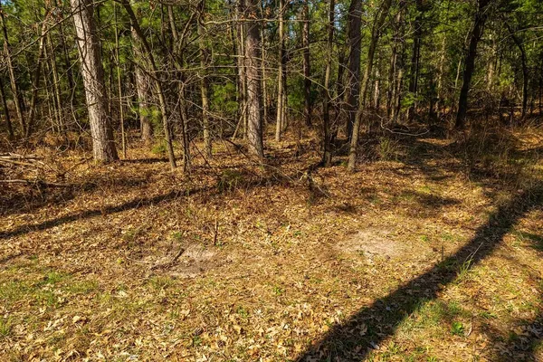 $1,274,900 | 0 Prairie Road East, Osseo, WI 54758