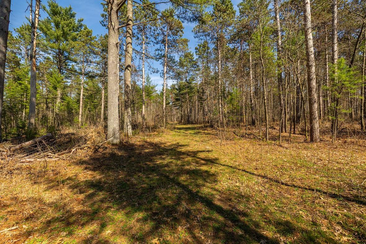 0 Prairie Road East Osseo, WI 54758 - Photo 38 of 79