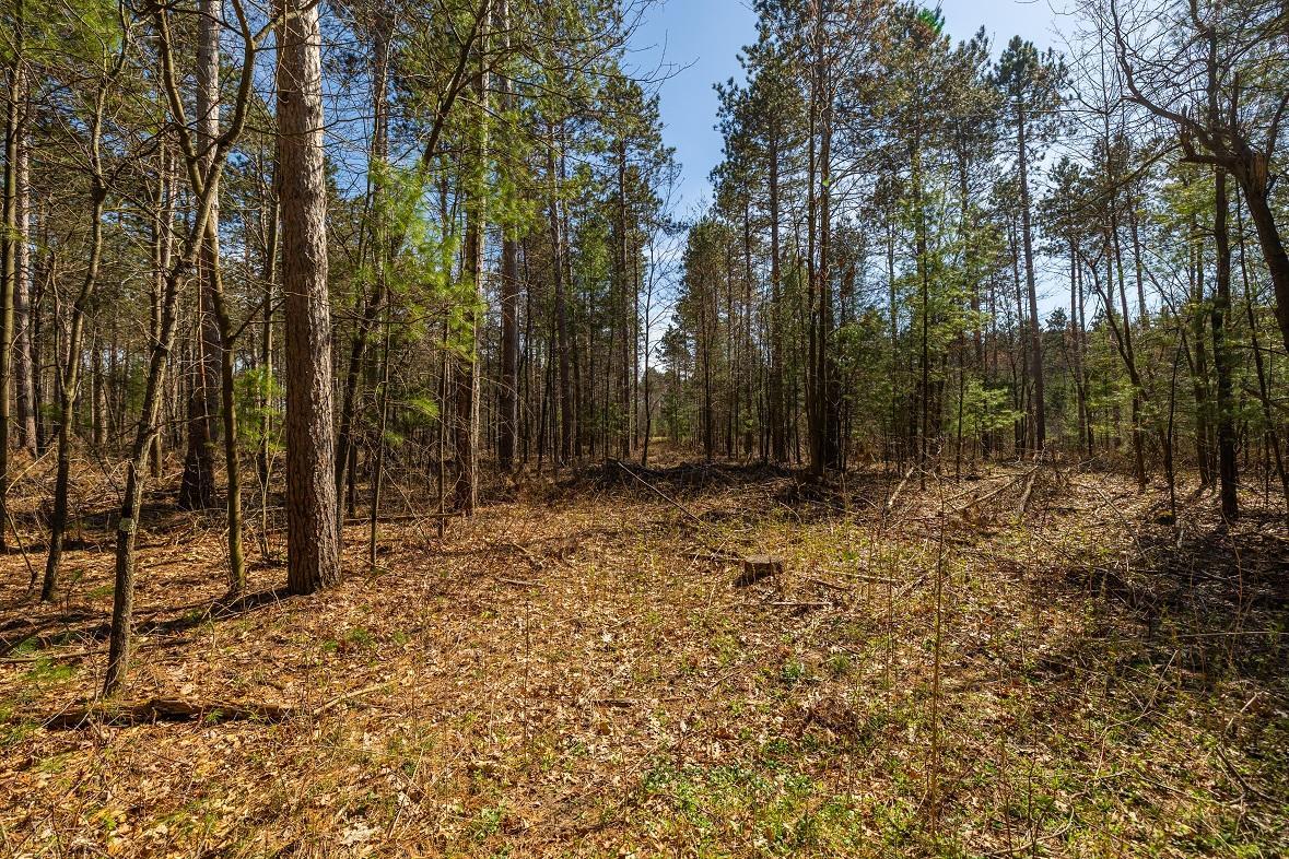 0 Prairie Road East Osseo, WI 54758 - Photo 39 of 79