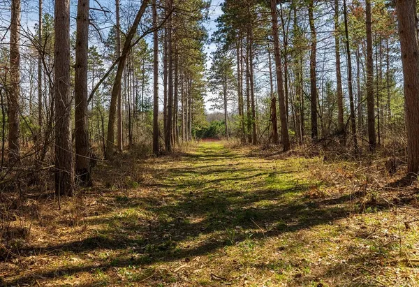 $1,274,900 | 0 Prairie Road East, Osseo, WI 54758