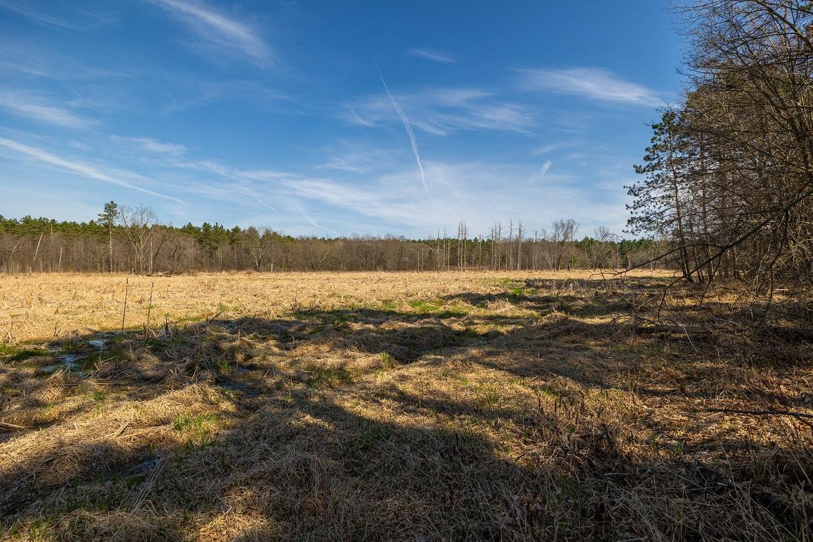 0 Prairie Road East Osseo, WI 54758 - Photo 5 of 79