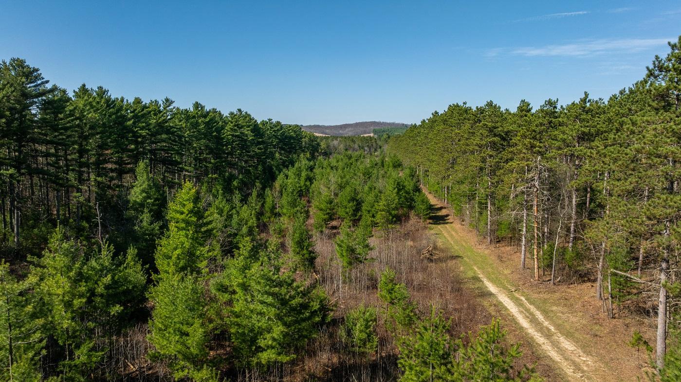 0 Prairie Road East Osseo, WI 54758 - Photo 55 of 79