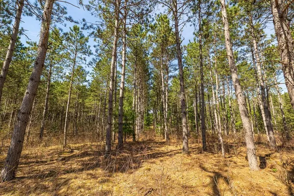 $1,274,900 | 0 Prairie Road East, Osseo, WI 54758
