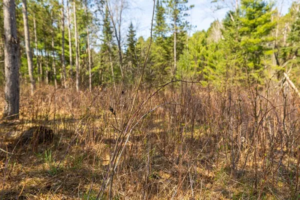 $1,274,900 | 0 Prairie Road East, Osseo, WI 54758