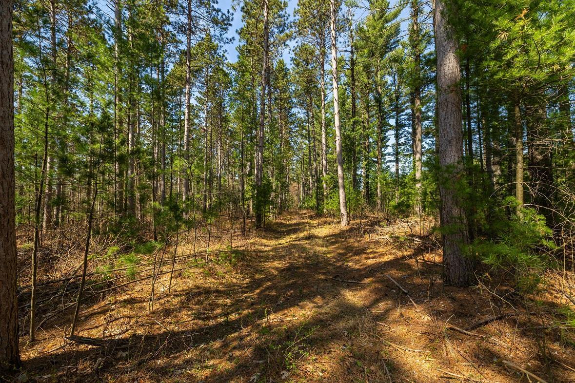 0 Prairie Road East Osseo, WI 54758 - Photo 62 of 79