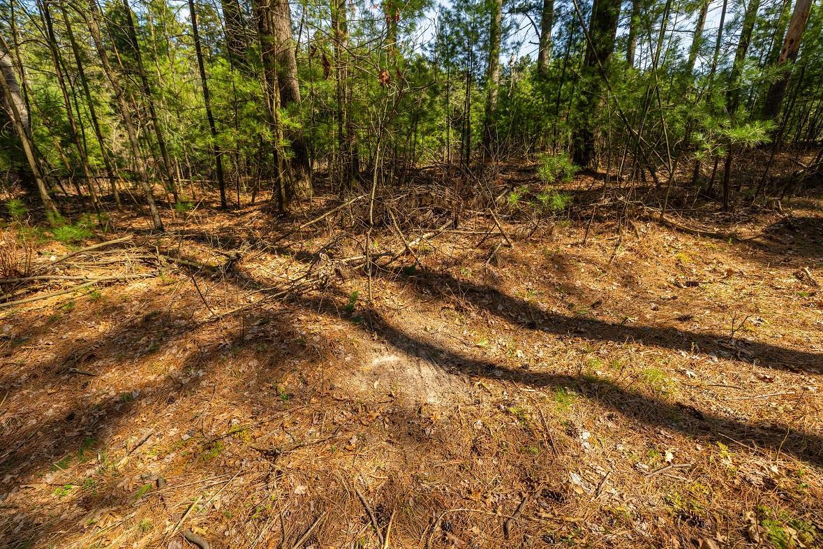 0 Prairie Road East Osseo, WI 54758 - Photo 64 of 79