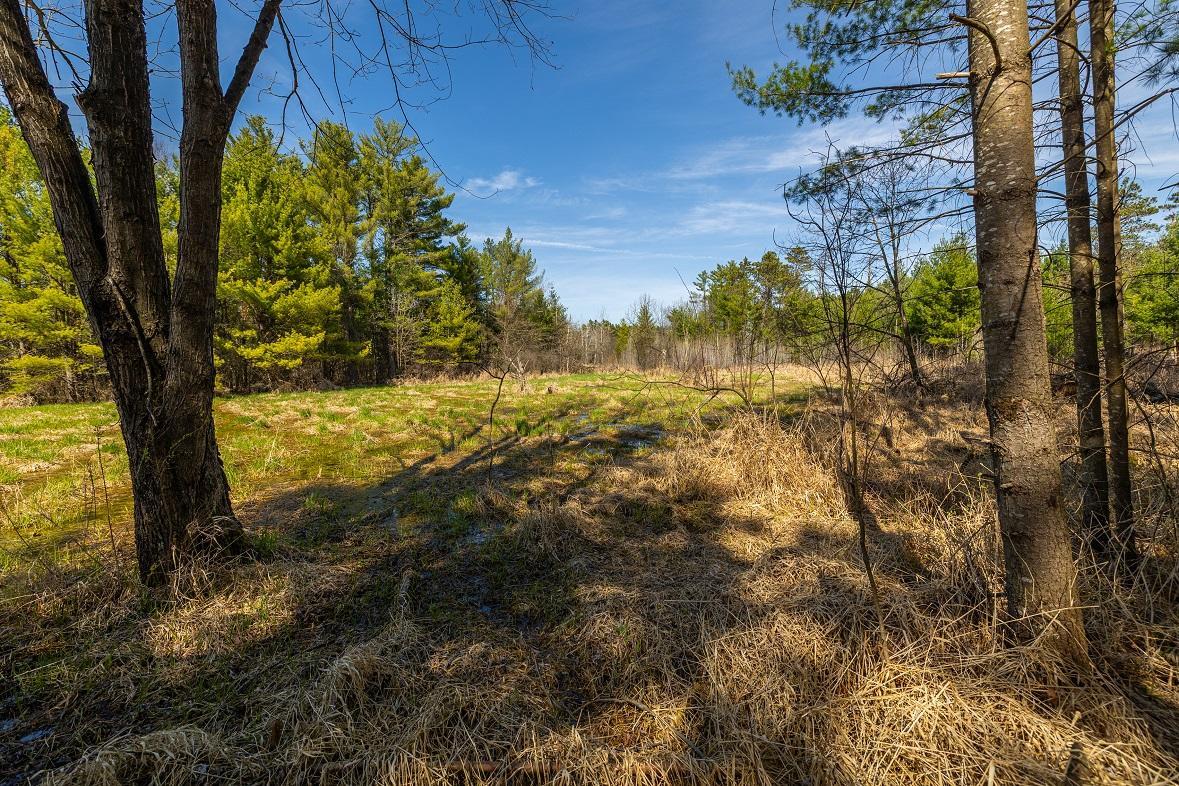 0 Prairie Road East Osseo, WI 54758 - Photo 69 of 79
